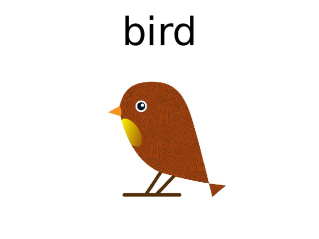 bird 