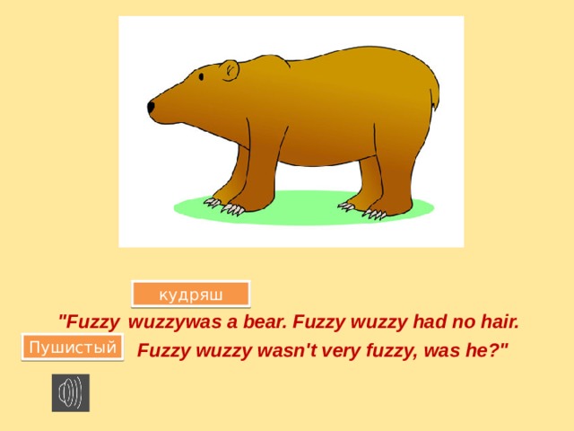 кудряш was a bear. Fuzzy wuzzy had no hair. 