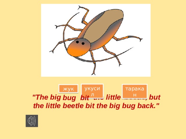 Жук на английском языке. A big Bug bit a little Beetle. Скороговорки на английском. Скороговорка про жука.