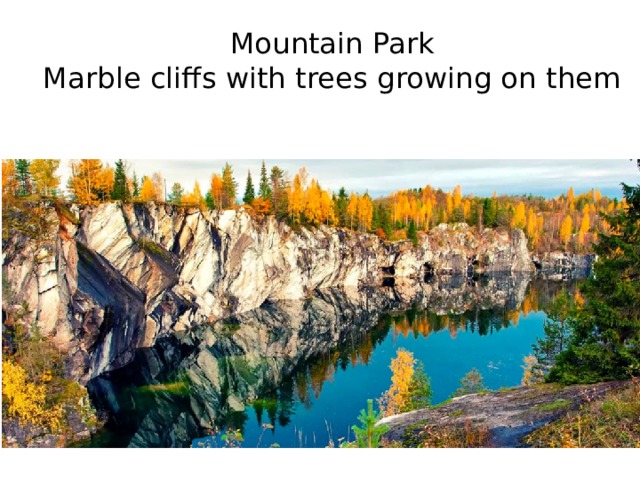 Mountain Park  Marble cliffs with trees growing on them 