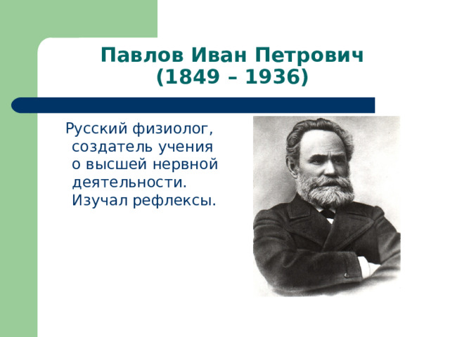 Павлов Иван Петрович  (1849 – 1936)  Русский физиолог, создатель учения о высшей нервной деятельности. Изучал рефлексы. 