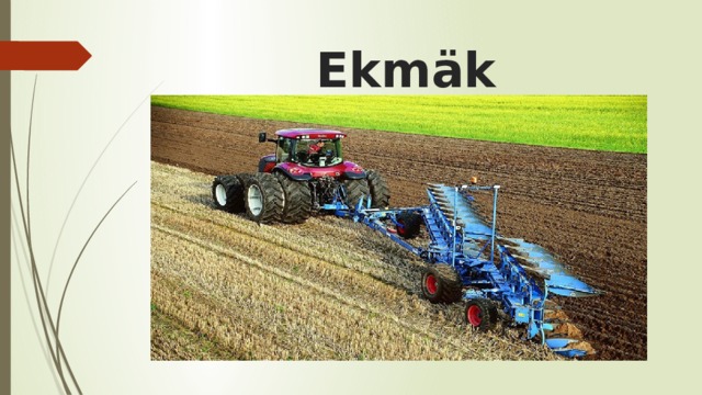 Ekmäk 