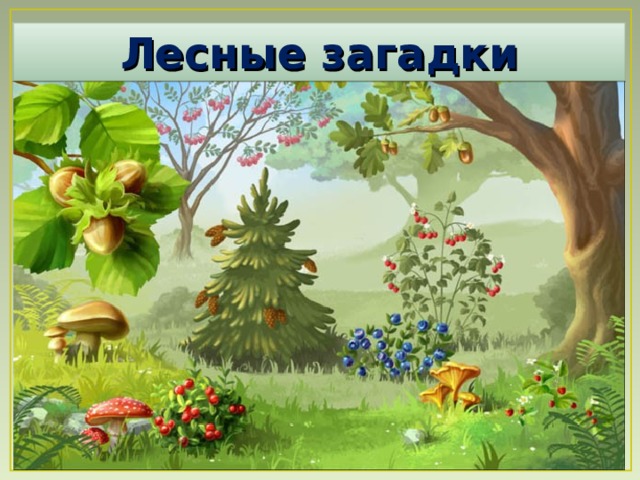 Лесные загадки 