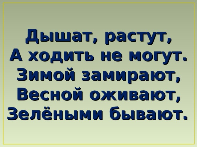 Дышат, растут, А ходить не могут. Зимой замирают, Весной оживают, Зелёными бывают.  