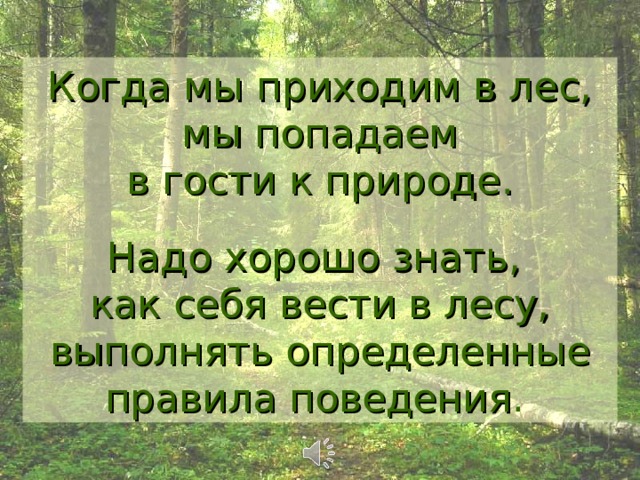 Когда мы приходим в лес, мы попадаем в гости к природе . Н адо хорошо знать, как себя вести в лесу, выполнять определенные правила поведения .  