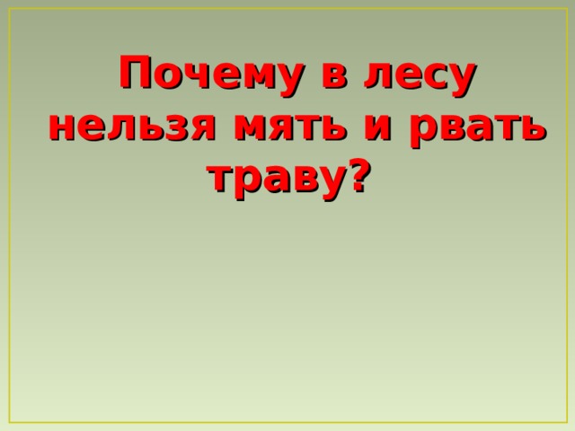 Почему в лесу нельзя мять и рвать траву? 