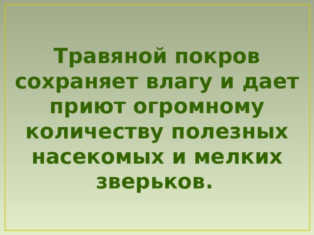 Травяной покров сохраняет влагу и дает приют огромному количеству полезных насекомых и мелких зверьков.  