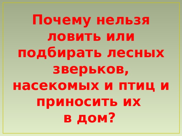 Почему нельзя ловить или подбирать лесных зверьков, насекомых и птиц и приносить их в дом?  
