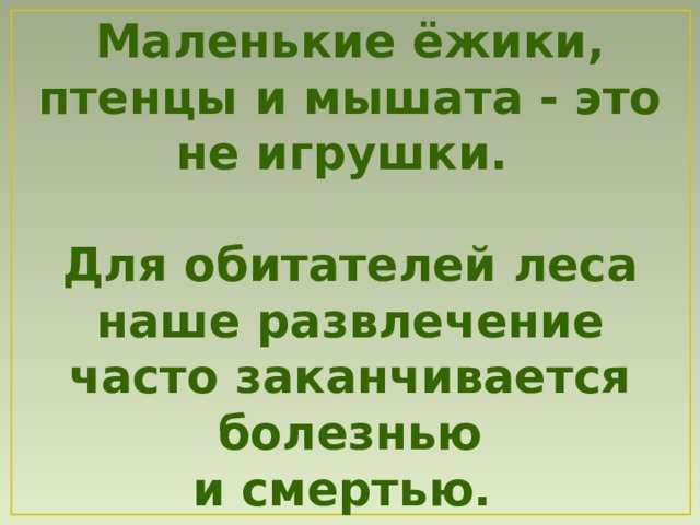 Маленькие ёжики, птенцы и мышата - это не игрушки.  Для обитателей леса наше развлечение часто заканчивается болезнью и смертью. 