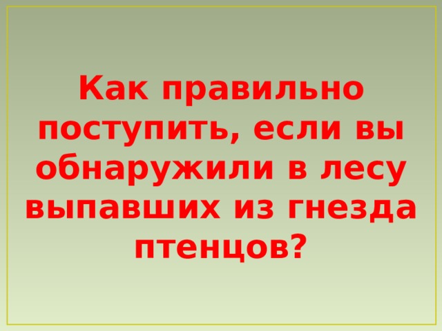 Как правильно поступить, если вы обнаружили в лесу выпавших из гнезда птенцов? 