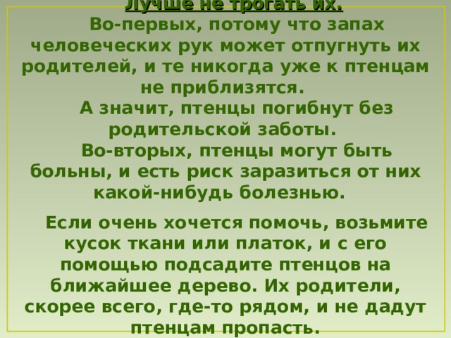 Лучше не трогать их.  Во-первых, потому что запах человеческих рук может отпугнуть их родителей , и те никогда уже к птенцам не приблизятся .  А значит , птенцы погибнут без родительской заботы. Во-вторых, птенцы могут быть больны, и есть риск заразиться от них какой-нибудь болезнью.  Если очень хочется помочь, возьмите кусок ткани или платок , и с его помощью подсадите птенцов на ближайшее дерево. Их родители, скорее всего, где-то рядом, и не дадут птенцам пропасть. 
