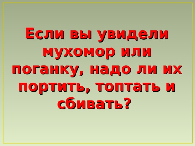 Если вы увидели мухомор или поганку, надо ли их портить, топтать и сбивать?  