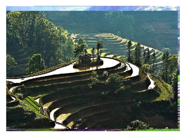 Рисовые террасы  Хунхэ-Хани  вырезанные вручную на склонах холмов, считаются рукотворным чудом человеческой цивилизации. По своей структуре они являются самоорошающейся системой, устроенной так, чтобы верхний слой почвы, в которой и растет рис, не вымывался водой. Возраст этих террас составляет примерно 1300 лет. 