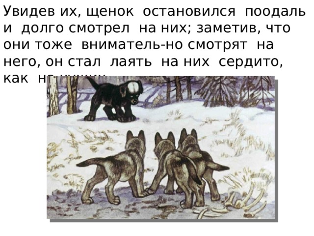 Увидев их, щенок остановился поодаль и долго смотрел на них; заметив, что они тоже вниматель-но смотрят на него, он стал лаять на них сердито, как на чужих… . 