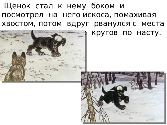  Щенок стал к нему боком и посмотрел на него искоса, помахивая хвостом, потом вдруг рванулся с места и сделал несколько кругов по насту. 