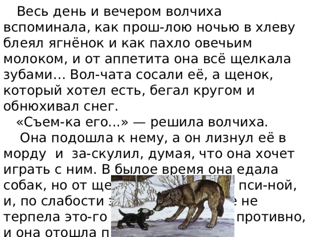  Весь день и вечером волчиха вспоминала, как прош-лою ночью в хлеву блеял ягнёнок и как пахло овечьим молоком, и от аппетита она всё щелкала зубами… Вол-чата сосали её, а щенок, который хотел есть, бегал кругом и обнюхивал снег.  «Съем-ка его...» — решила волчиха.  Она подошла к нему, а он лизнул её в морду и за-скулил, думая, что она хочет играть с ним. В былое время она едала собак, но от щенка сильно пахло пси-ной, и, по слабости здоровья, она уже не терпела это-го запаха; ей стало противно, и она отошла прочь... . 