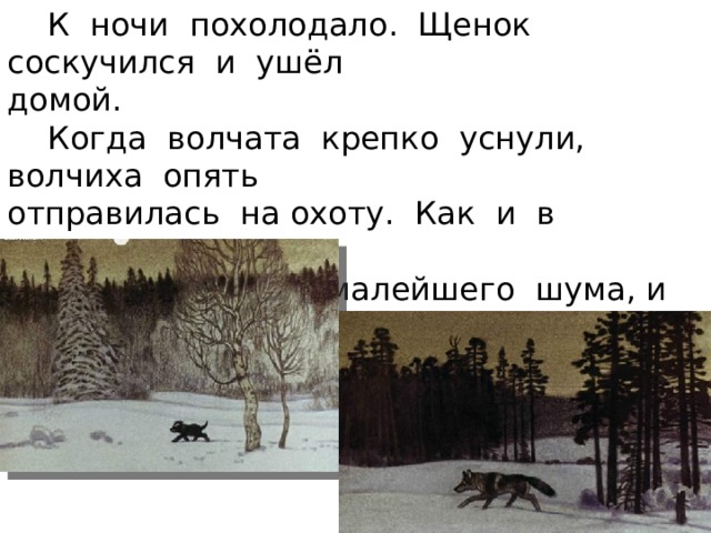  К ночи похолодало. Щенок соскучился и ушёл домой.  Когда волчата крепко уснули, волчиха опять отправилась на охоту. Как и в прошлую ночь, она тревожилась малейшего шума, и её пугали пни, дрова, тёмные, одиноко стоящие кусты. 