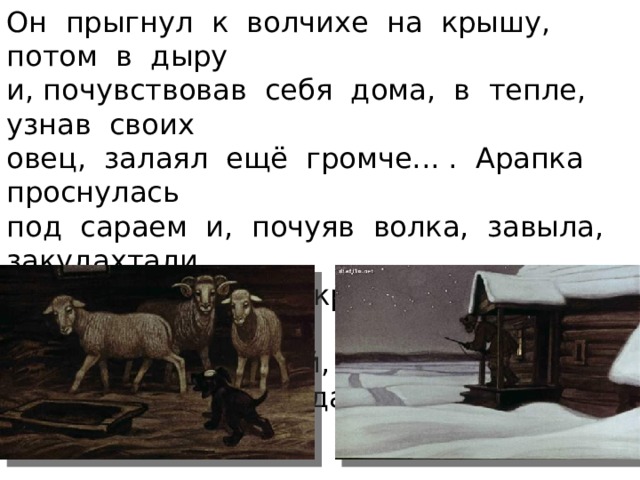 Он прыгнул к волчихе на крышу, потом в дыру и, почувствовав себя дома, в тепле, узнав своих овец, залаял ещё громче... . Арапка проснулась под сараем и, почуяв волка, завыла, закудахтали куры, и, когда на крыльце показался Игнат со своей одностволкой, то перепуганная волчиха была уже далеко от зимовья… . 