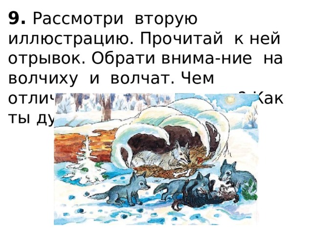 9.  Рассмотри вторую иллюстрацию. Прочитай к ней отрывок. Обрати внима-ние на волчиху и волчат. Чем отличается их поведение? Как ты думаешь, почему? 
