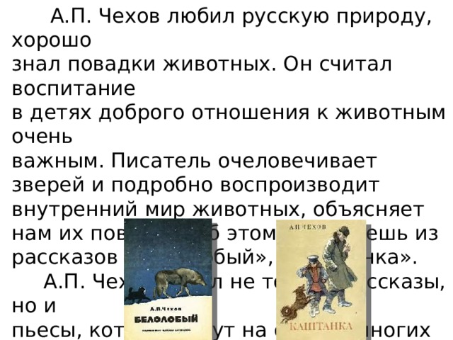  А.П. Чехов любил русскую природу, хорошо знал повадки животных. Он считал воспитание в детях доброго отношения к животным очень важным. Писатель очеловечивает зверей и подробно воспроизводит внутренний мир животных, объясняет нам их повадки. Об этом ты узнаешь из рассказов «Белолобый», «Каштанка».  А.П. Чехов писал не только рассказы, но и пьесы, которые идут на сценах многих театров мира.  