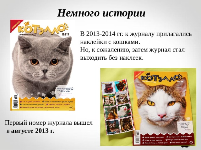 Немного истории В 2013-2014 гг. к журналу прилагались наклейки с кошками. Но, к сожалению, затем журнал стал выходить без наклеек. Первый номер журнала вышел  в августе 2013 г.  