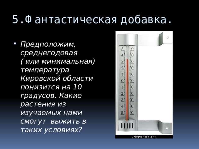 5. Фантастическая добавка. Предположим, среднегодовая ( или минимальная) температура Кировской области понизится на 10 градусов. Какие растения из изучаемых нами смогут выжить в таких условиях? 