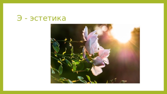 Э - эстетика 