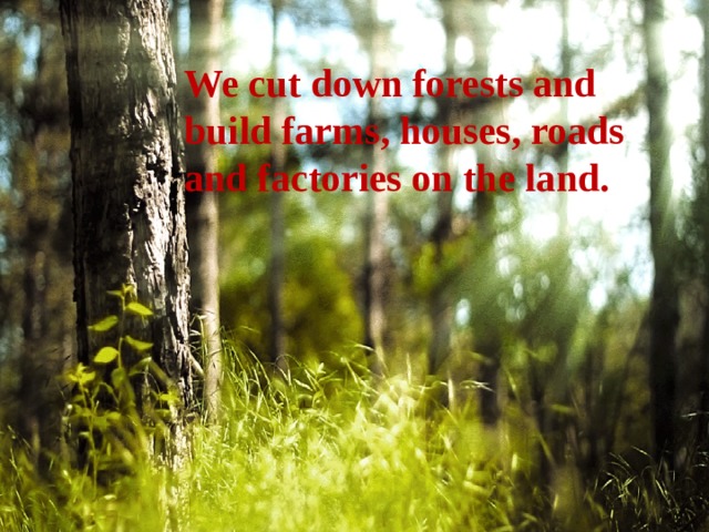 We cut down forests and build farms, houses, roads and factories on the land. 