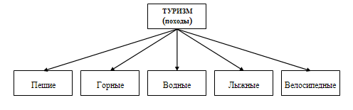 Виды туризма схема