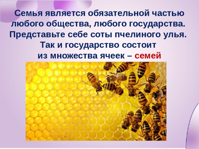 Семья является обязательной частью любого общества, любого государства. Представьте себе соты пчелиного улья. Так и государство состоит из множества ячеек – семей 