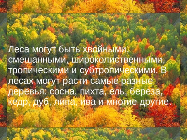 Леса могут быть хвойными, смешанными, широколиственными, тропическими и субтропическими. В лесах могут расти самые разные деревья: сосна, пихта, ель, береза, кедр, дуб, липа, ива и многие другие. 