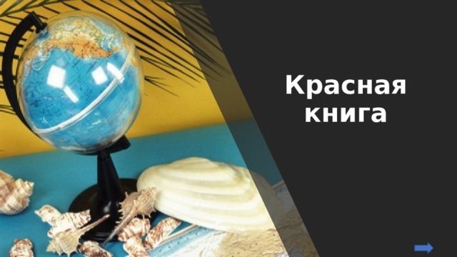Красная книга 
