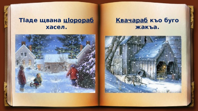 ТIаде щвана цIорораб хасел. Квачараб къо буго жакъа. 