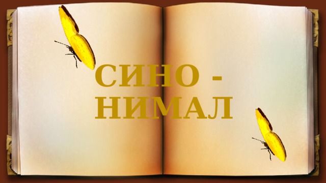  СИНО - НИМАЛ 