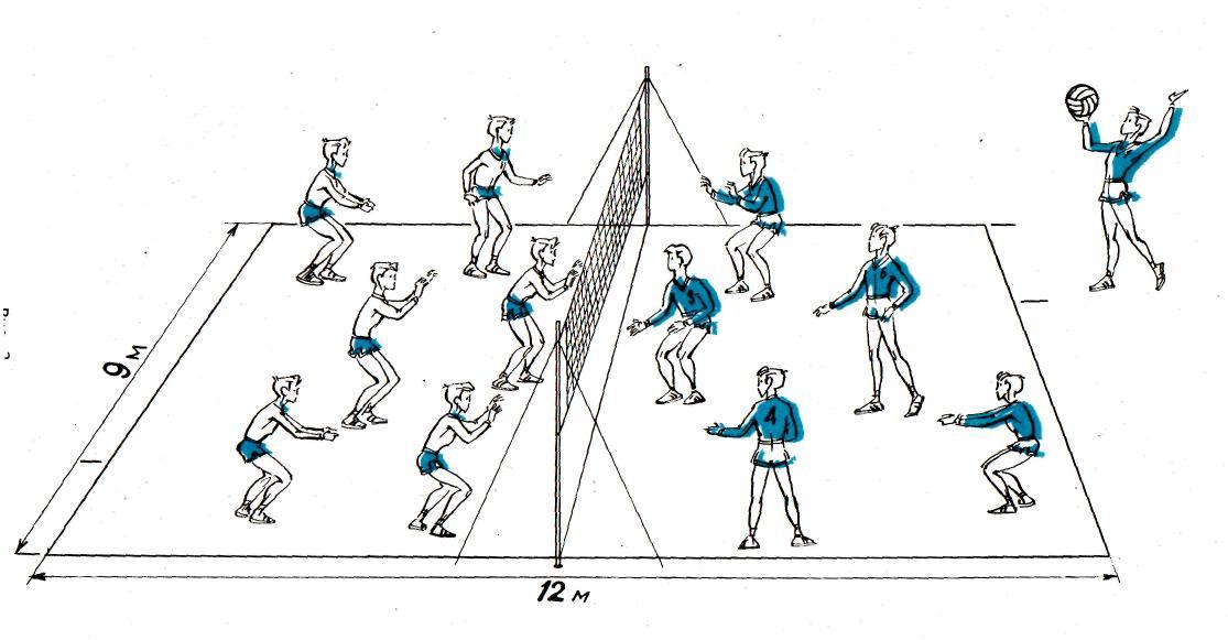 Схема игры в волейбол