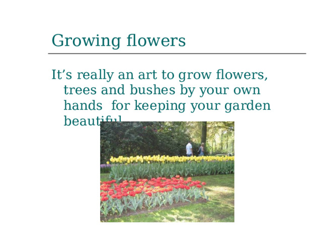 Growing flowers It’s really an art to grow flowers, trees and bushes by your own hands for keeping your garden beautiful . 