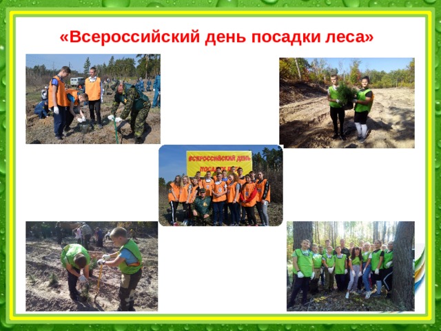 «Всероссийский день посадки леса» 
