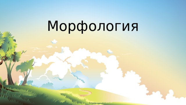 Морфология  