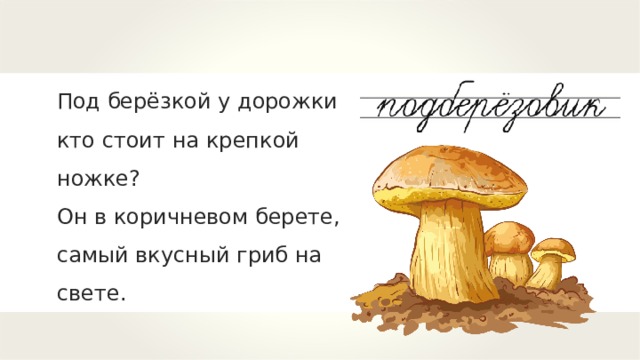 Под берёзкой у дорожки кто стоит на крепкой ножке? Он в коричневом берете, самый вкусный гриб на свете. 