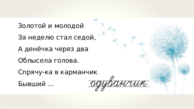 Золотой и молодой За неделю стал седой, А денёчка через два Облысела голова. Спрячу-ка в карманчик Бывший ... 