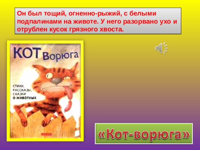 Он был тощий, огненно-рыжий, с белыми подпалинами на животе. У него разорвано ухо и отрублен кусок грязного хвоста. 