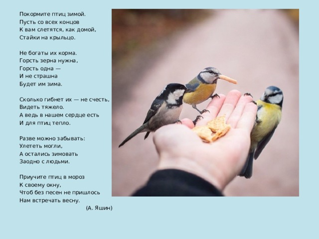 Покормите птиц зимой. Пусть со всех концов К вам слетятся, как домой, Стайки на крыльцо. Не богаты их корма. Горсть зерна нужна, Горсть одна — И не страшна Будет им зима. Сколько гибнет их — не счесть, Видеть тяжело. А ведь в нашем сердце есть И для птиц тепло. Разве можно забывать: Улететь могли, А остались зимовать Заодно с людьми. Приучите птиц в мороз К своему окну, Чтоб без песен не пришлось Нам встречать весну.  (А. Яшин) 