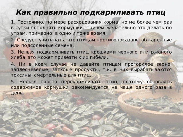 Как правильно подкармливать птиц 1. Постоянно, по мере расходования корма, но не более чем раз в сутки пополнять кормушки. Причем желательно это делать по утрам, примерно, в одно и тоже время. 2. Следует учитывать, что птицам противопоказаны обжаренные или подсоленные семена. 3. Нельзя подкармливать птиц крошками черного или ржаного хлеба, это может привезти к их гибели. 4. Ни в коем случае не давайте птицам прогорклое зерно, заплесневелые, затхлые продукты, т.к. в них вырабатываются токсины, смертельные для птиц. 5. Нельзя просто перекармливать птиц, поэтому обновлять содержимое кормушки рекомендуется не чаще одного раза в день. 