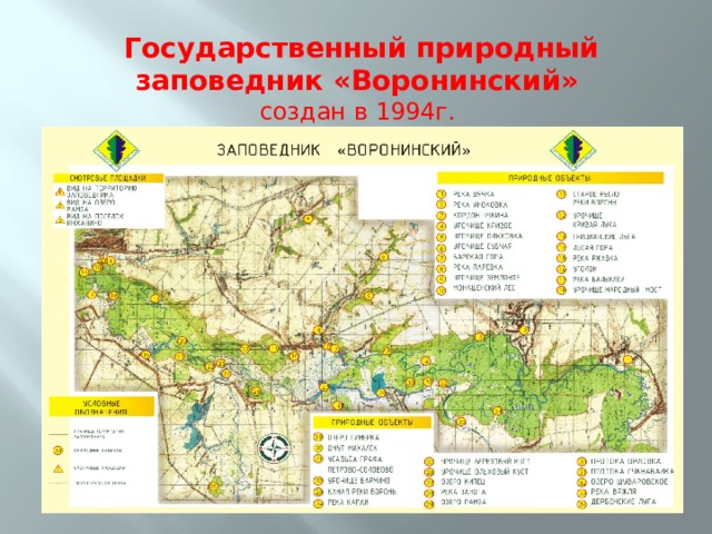 Государственный природный заповедник «Воронинский»   создан в 1994г. 