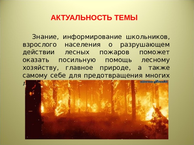 АКТУАЛЬНОСТЬ ТЕМЫ Знание, информирование школьников, взрослого населения о разрушающем действии лесных пожаров поможет оказать посильную помощь лесному хозяйству, главное природе, а также самому себе для предотвращения многих лесных пожаров. 