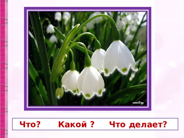  Что? Какой ? Что делает? 