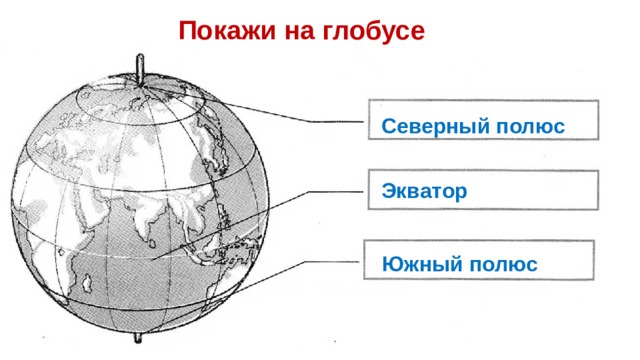 Климатические полюса от северного полюса к экватору. Экватор Северный и Южный полюс. Южный полюс на глобусе. Глобус с экватором и полюсами.