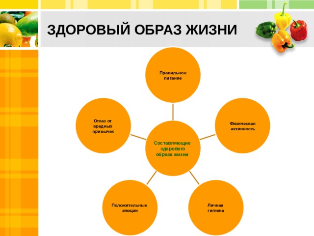 ЗДОРОВЫЙ ОБРАЗ ЖИЗНИ Правильное питание Физическая Отказ от  активность вредных привычек Составляющие здорового образа жизни Положительные Личная эмоции гигиена 