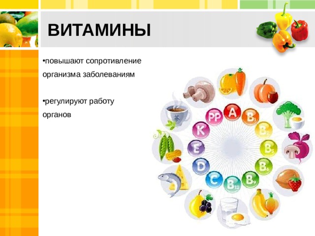 ВИТАМИНЫ   повышают сопротивление организма заболеваниям регулируют работу органов 10 