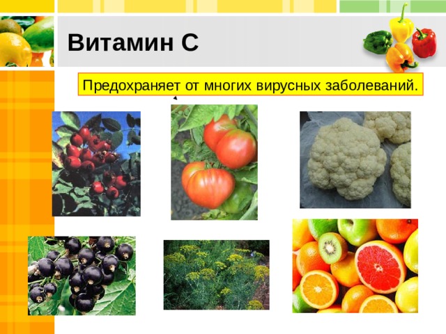 Витамин С Предохраняет от многих вирусных заболеваний. 10 